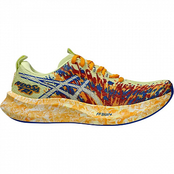 Кроссовки беговые мужские Asics Noosa Tri 16 1011B872-751 разноцветный