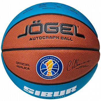 Баскетбольный мяч Jogel Pro Training Ecoball № 7