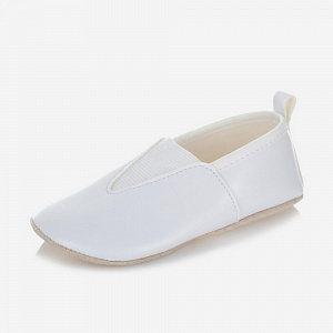 Чешки и получешки Чешки и получешки