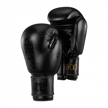 Перчатки боксерские Green Hill Tiger BGT10697RU черный