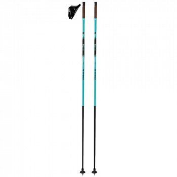 Палки лыжные KASTLE KC100 Carbon