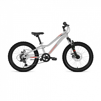 Велосипед Forward Twister CX 20