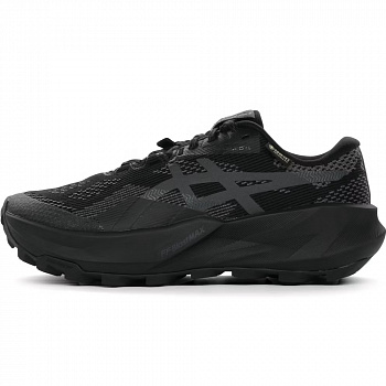 Кроссовки беговые женские Asics Trabuco 14 GTX 1012B936-002 чёрный
